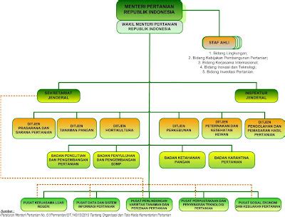 Struktur Organisasi PT Subur Jaya Abadi