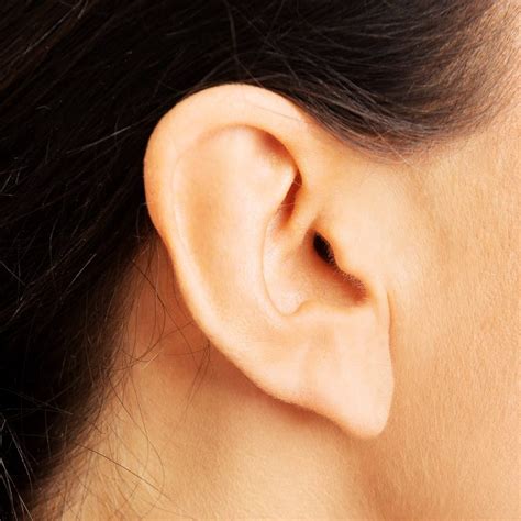 Ear Lobes Facial Aesthetics