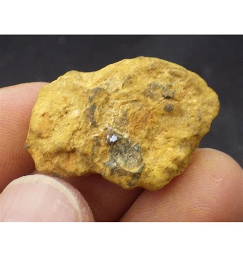 Fossils 7 G Nantan Iron Meteorite