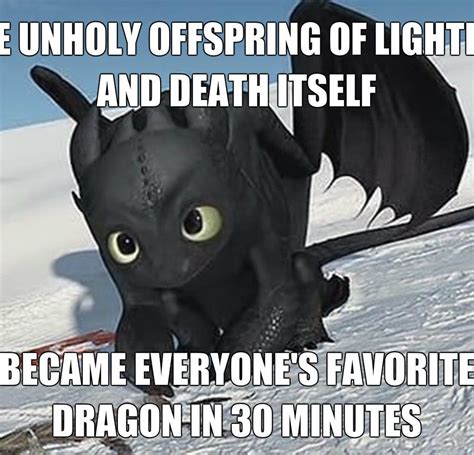 Pin By George Medill On Oofnessessessess How To Train Dragon How To