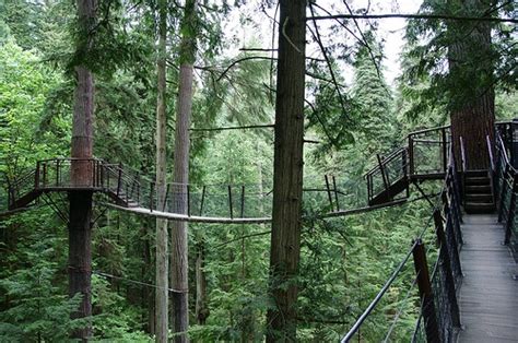 This Is What I See For My Future Home Capilano Suspension