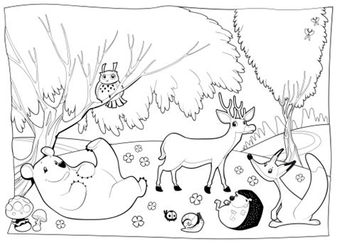 Coniferous forest coloring page coloring page for kids deer fantasy forest coloring page digital art by crista forest forest animal printable coloring pages Detailed Coloring Page - Forest Creatures ...