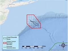 Hudson Canyon Marine Forecast
