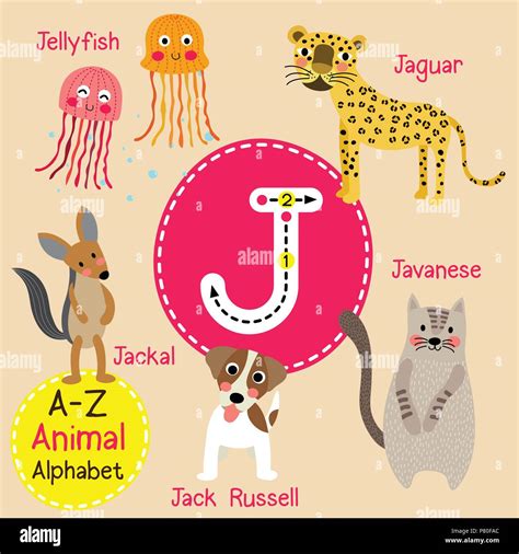 Cute Children Zoo Alphabet J Letter Tracing Of Funny Animal Cartoon For