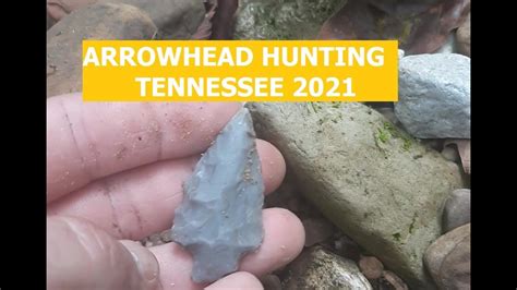 Arrowhead Hunting Tennessee 2021 Youtube