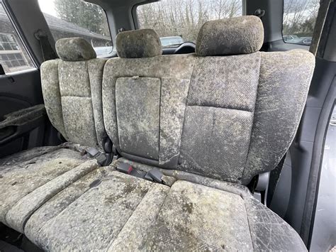 What To Do If There Is Mold In Your Car — Detail By Miles