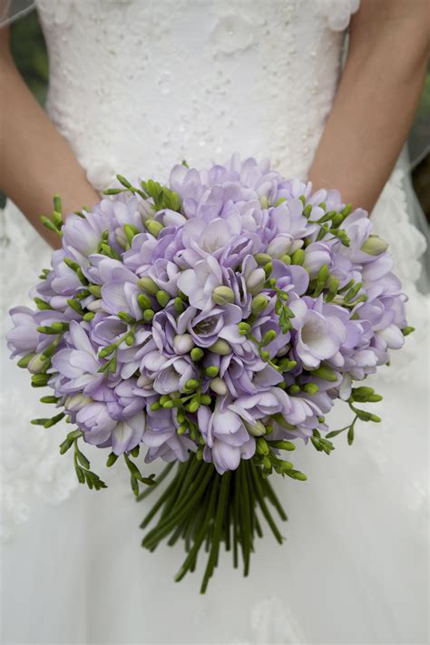We did not find results for: Beautiful lilac freesia hand tied bouquet by Bows & Blooms ...
