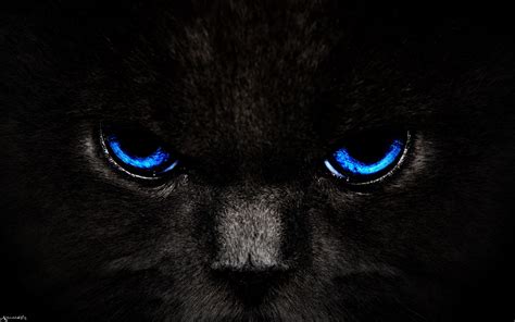 Download Wallpaper 2560x1600 Cat Eyes Blue Glance Dark
