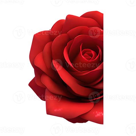 Red Rose Flower Clipart Transparent 25811452 Png