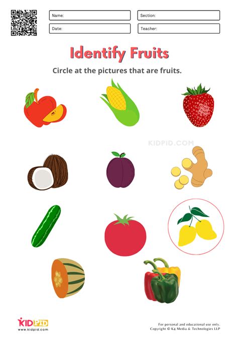 Fruits And Vegetables Free Printable Worksheets For Kindergarten
