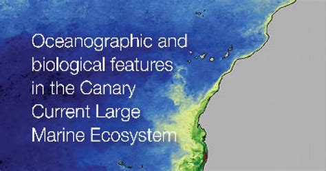 Oceanographic And Biological Features In The Canary Current Large