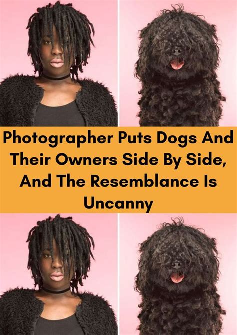 Photographer Puts Dogs And Their Owners Side By Side And The