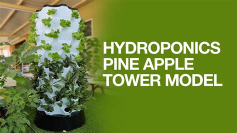 Hydroponics Pineapple Tower Model Youtube