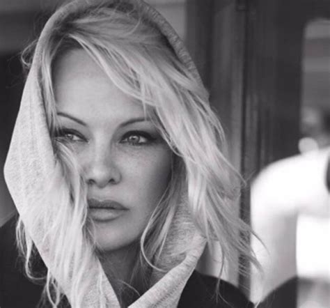 Pamela Anderson Regresa A Playboy