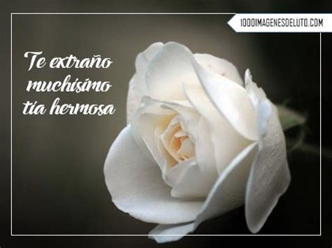 We did not find results for: mensajes de duelo por muerte de una tia | Imagenes de ...