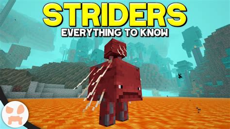 Minecrafts New Lava Strider Mob Complete Strider Guide Minecraft