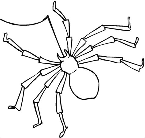 Spider Coloring Pages For Preschoolers Coloringbay