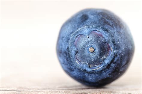 Blueberry Placed On Brown Surface · Free Stock Photo