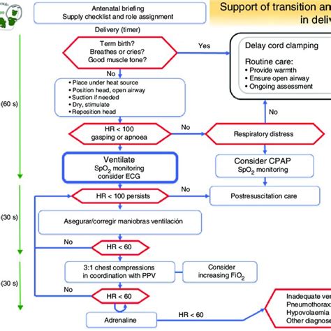 Assignment Of Roles In Neonatal Resuscitation Download Scientific