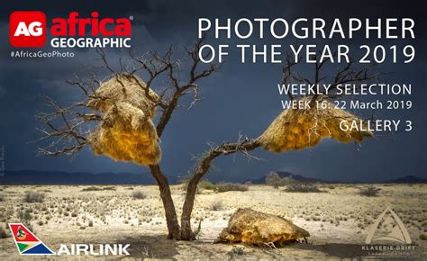 Photographer Of The Year 2019 Weekly Selection Week 16 Gallery 3