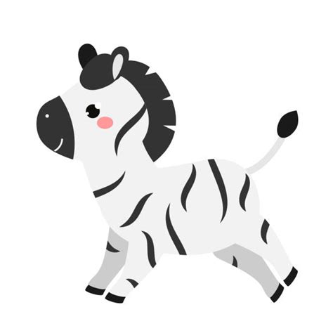 Cute Zebra Cartoon Running Stock Photos Pictures And Royalty Free Images