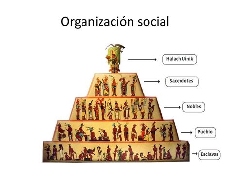 Organizacion Politica Y Social