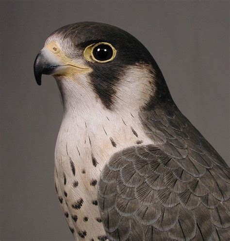 We are limiting our breeding stock to falcons that we personally are flying. 15" Peregrine Falcon Original Bird Carving Wood/Birdhug | eBay