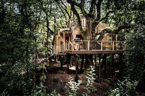 A Luxury Tree House Nestled In Nature Adorable Homeadorable Home