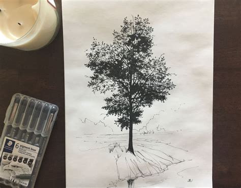 Beautiful Tree Pen Drawing Realistic Realistic Drawings Tree Drawing