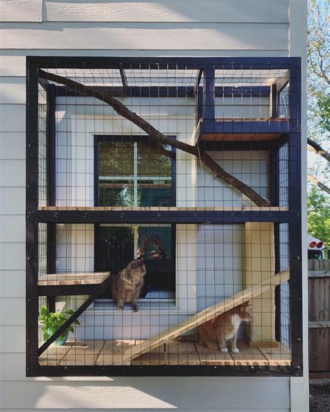 30 Window Outdoor Cat Enclosure Decoomo