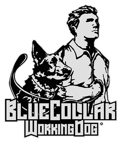 Blue Collar Working Dog | Working dogs, Dog activities, Dogs