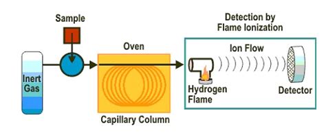 Flame Ionization Detector In Gas Chromatography Fid