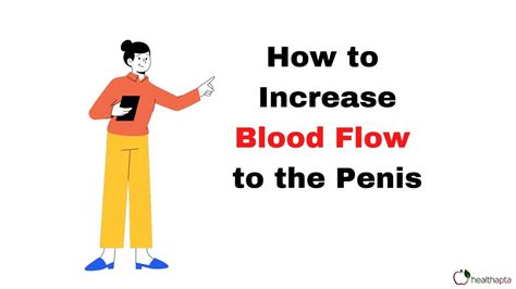 How To Increase Blood Flow To The Penis Youtube