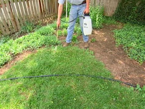 Organic weed killer for lawns. Lawn Care: Killing A Lawn, Testing Soil, Spreading Seed | how-tos | DIY