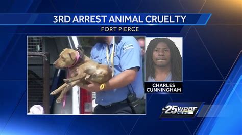 Another Arrest In Animal Cruelty Case Youtube