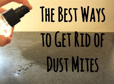 12 Guaranteed Ways To Get Rid Of Dust Mites In Your House Dengarden