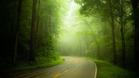 Foggy Road By Clément Guégan 500px Scenic Pictures Beautiful Roads