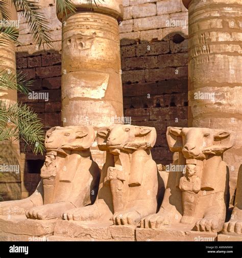 Ram Headed Sphinxes In The Precinct Of Amun Re Or Amum Karnak Temple