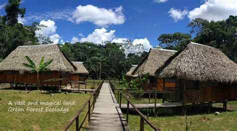 Cuyabeno Amazon Jungle Lodge | Green Forest Ecolodge ...