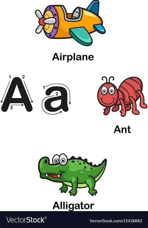 Alphabet Letter A Airplane Ant Alligator Vector Image