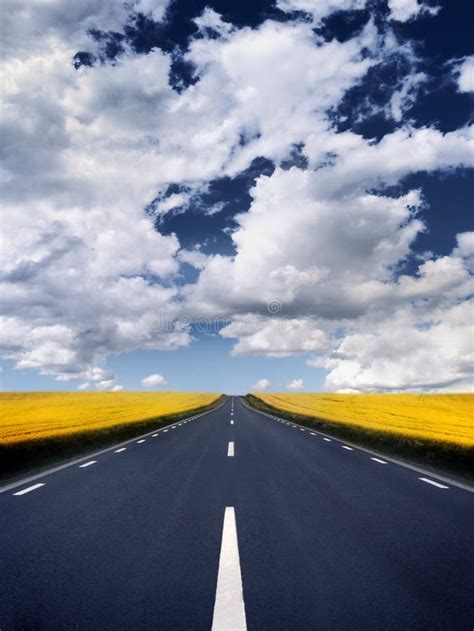 Open Road Stock Photo Image Of Road Grass Horizon Seed 5238826