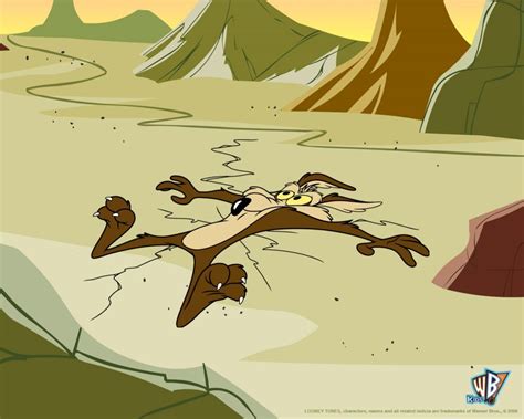 wile e coyote hits the ground looney tunes characters looney tunes cartoons coyote