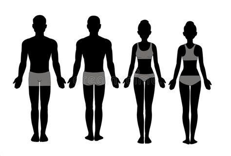 Male And Female Body Chart Silhouette Front And Back View Blank Human
