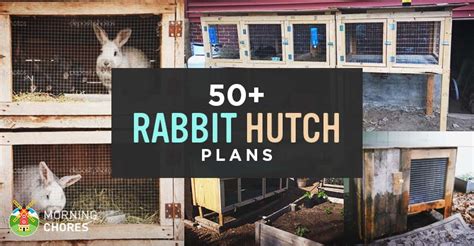 Hutch frame is almost indestructible, and cleaning is a breeze. Commercial Rabbit Cage Plans - House Design Ideas
