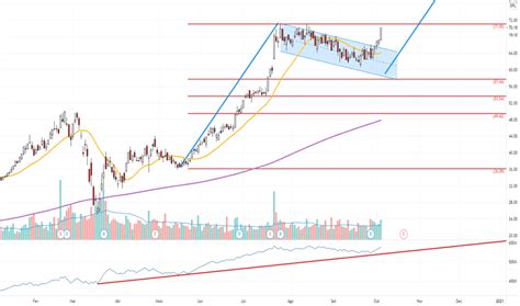 Acompanhe a ação wege3 (weg on nm): WEGE3 Preço da Ação e Gráfico — BMFBOVESPA:WEGE3 — TradingView