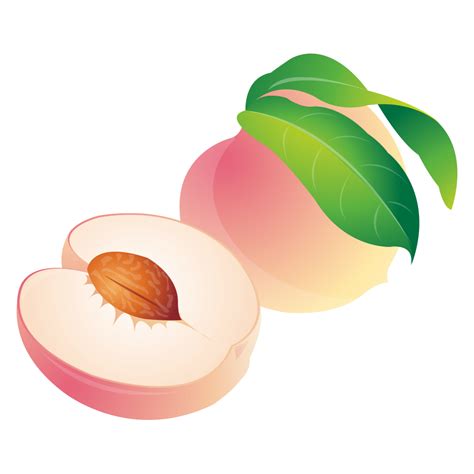 Peaches Clipart Pink Peach Peaches Pink Peach Transparent Free For
