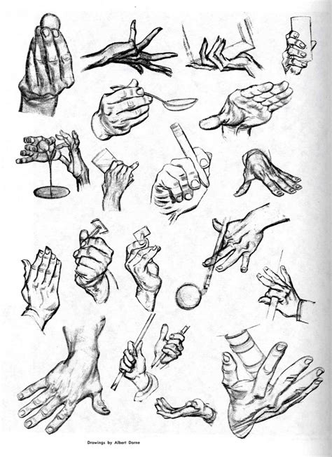 Animopus Hand Poses Galore