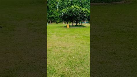 Go Green love Nature save Environment... - YouTube