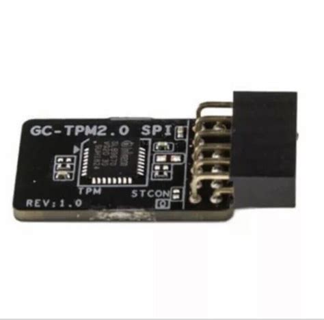 Gigabyte TPM GC TPM SPI Compatible Trusted Platform Module Pin
