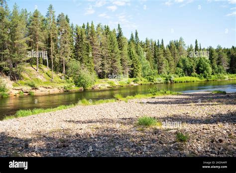 Beautiful Sandy River Bank On A Sunny Summer Day In Oulanka National